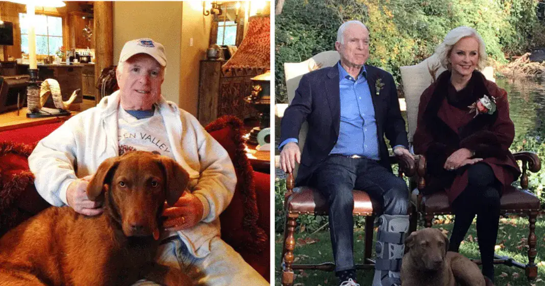 Just months after John McCain’s death, family rocked by tragic death of his beloved dog