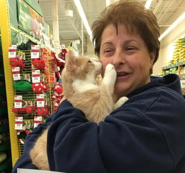 Rescue cat won’t stop licking and hugging his new owner after being adopted