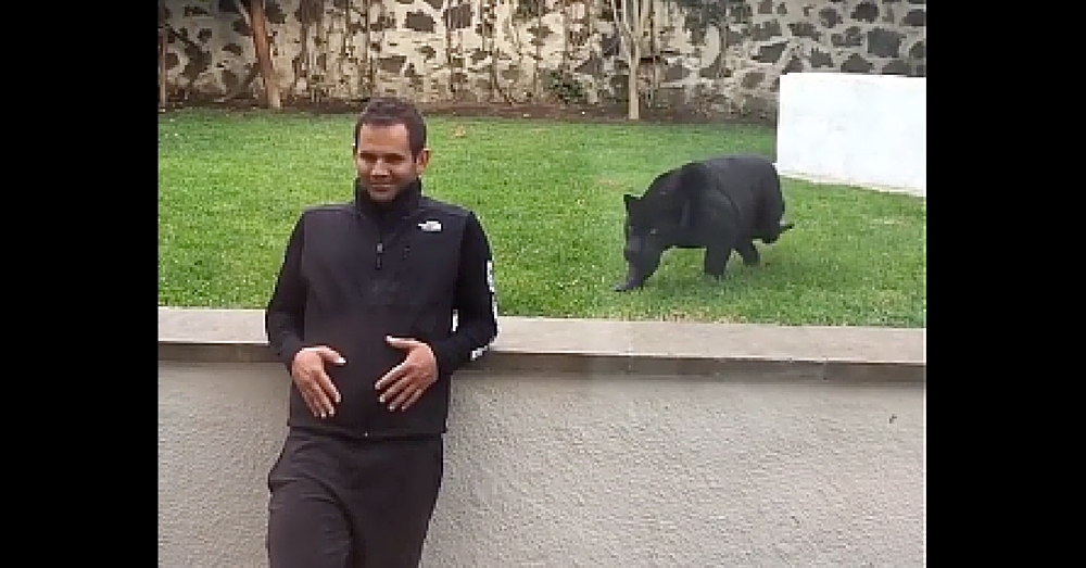 Panther Creeps Up Behind Unsuspecting Man. When It Goes To Pounce…Gasp!