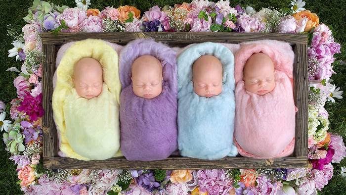 The Webb identical quadruplets, all girls, were born in May. Courtesy Noelle Mirabella Photography