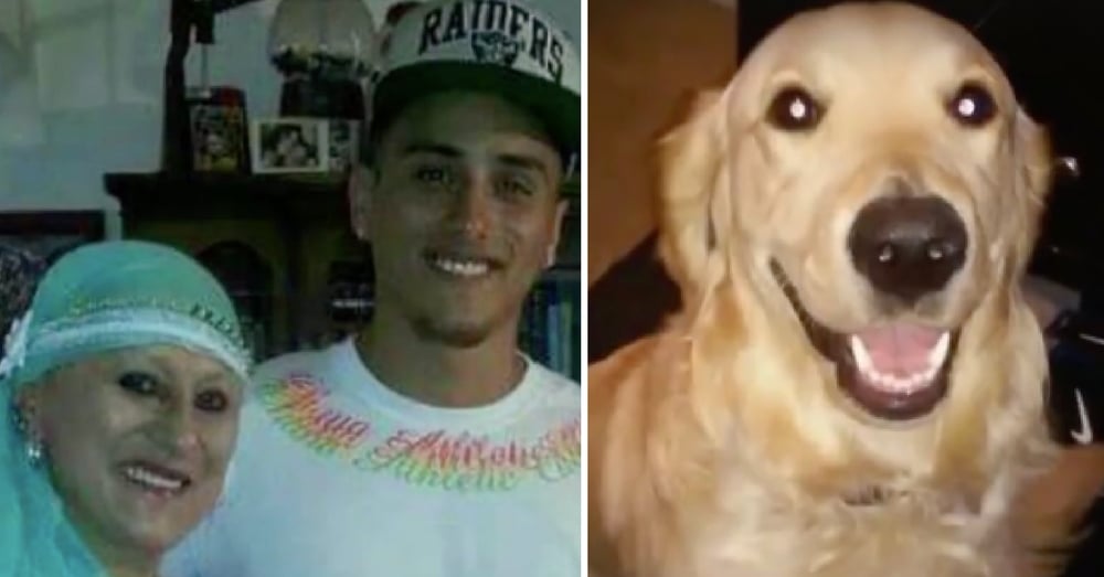 Mom Dies, Car Crashes And Dog Runs Away On Same Day. 6 Days Later He Gets A Phone Call