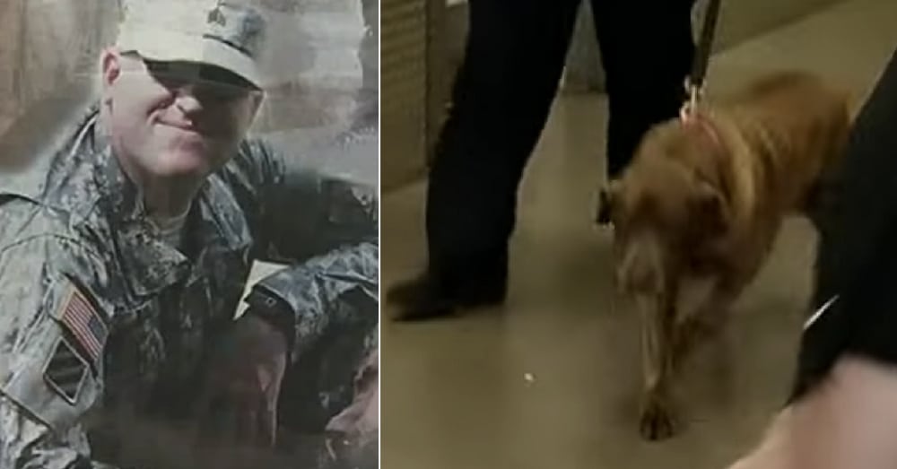 Soldier Hasn’t Seen Best Friend In Years. Watch What Happens When They’re Finally Reunited