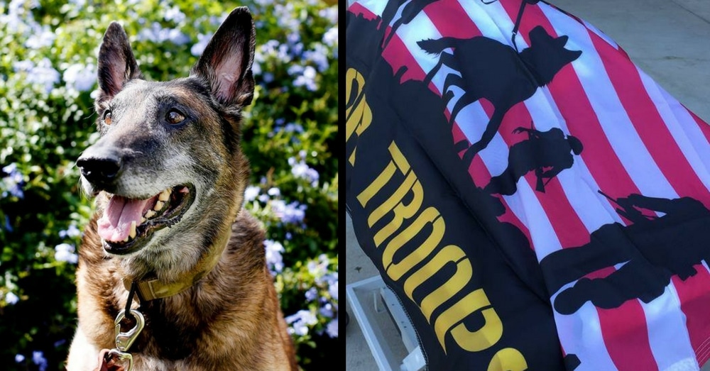11-Year-Old Military Dog Who Served In Afghanistan Honored With Hero’s Funeral