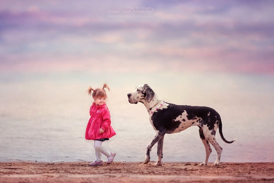 little-kids-big-dogs-photography-andy-seliverstoff-15-584fa91953feb__880