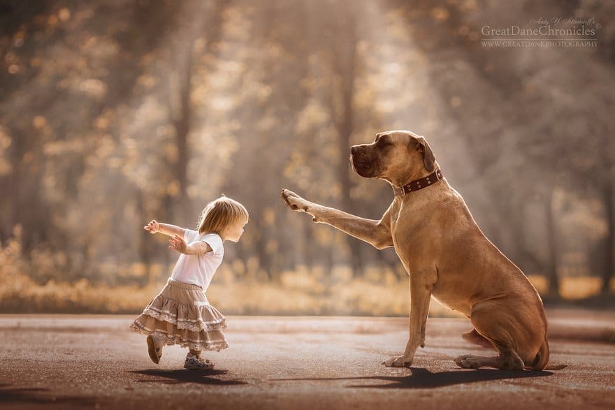 little-kids-big-dogs-photography-andy-seliverstoff-4-584fa905bee2a__880