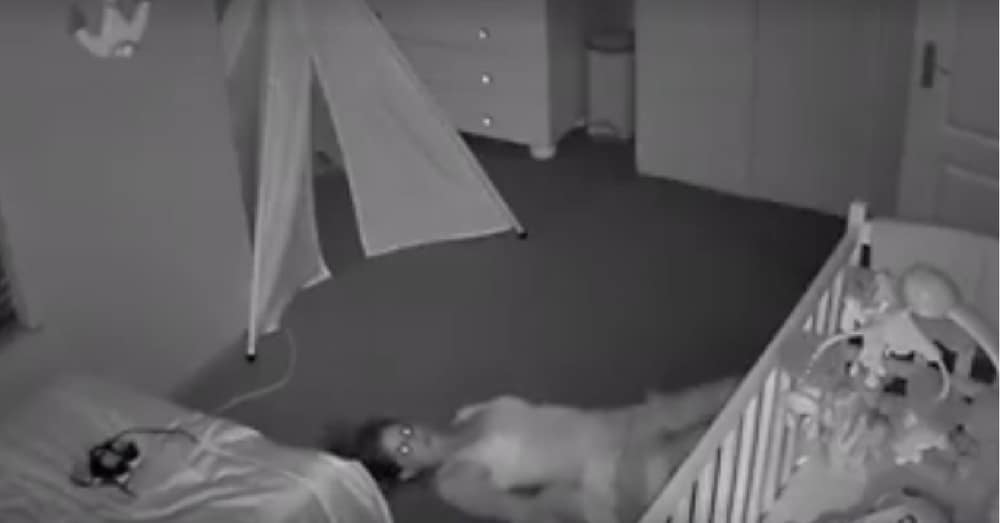 Dad Looks At Monitor To Check On Baby, Then Notices Strange Figure Slinking Across Floor…