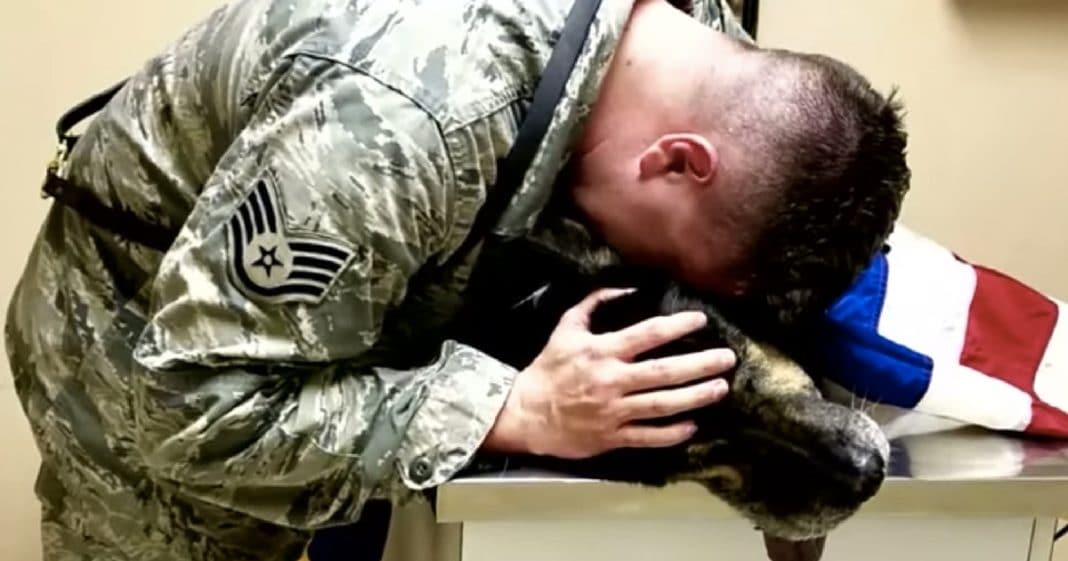 Heartbroken Soldier Says Goodbye To Beloved Dog, Then Boss Runs To Grab The American Flag