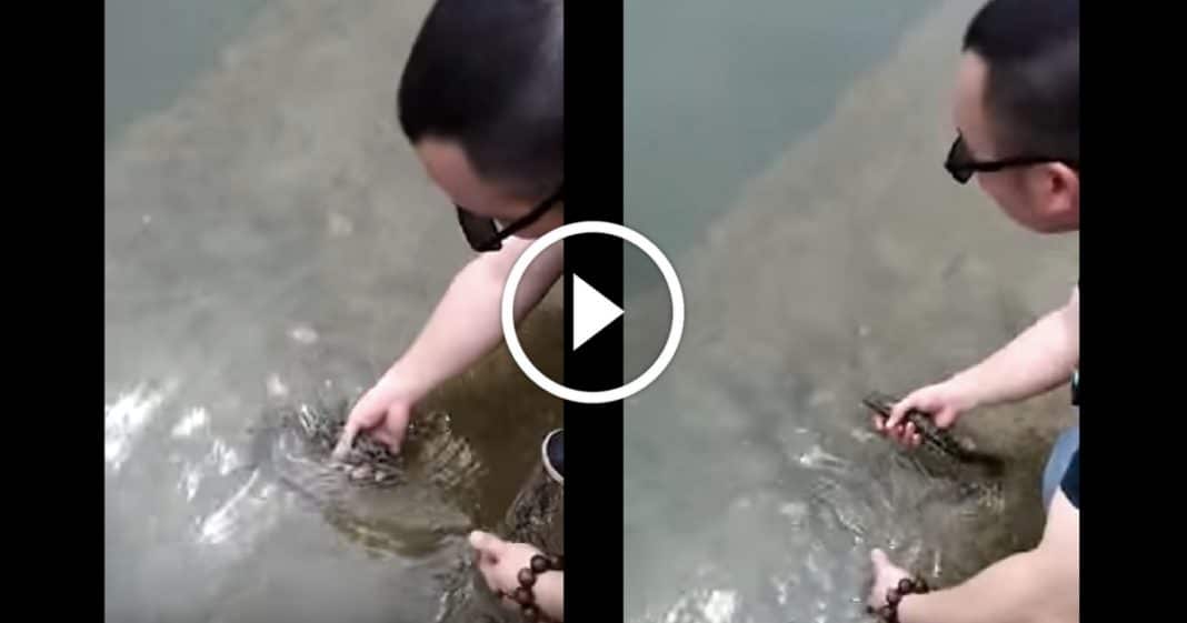 Man Tries To Release Fish Into Wild, But He Couldn’t Have Predicted What Fish Does Next