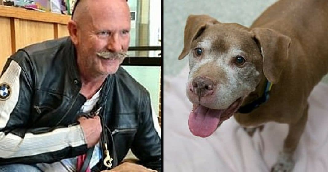 18-Yr-Old Dog Abandoned At Shelter. What This Man Does Next Leaves Everyone In Tears