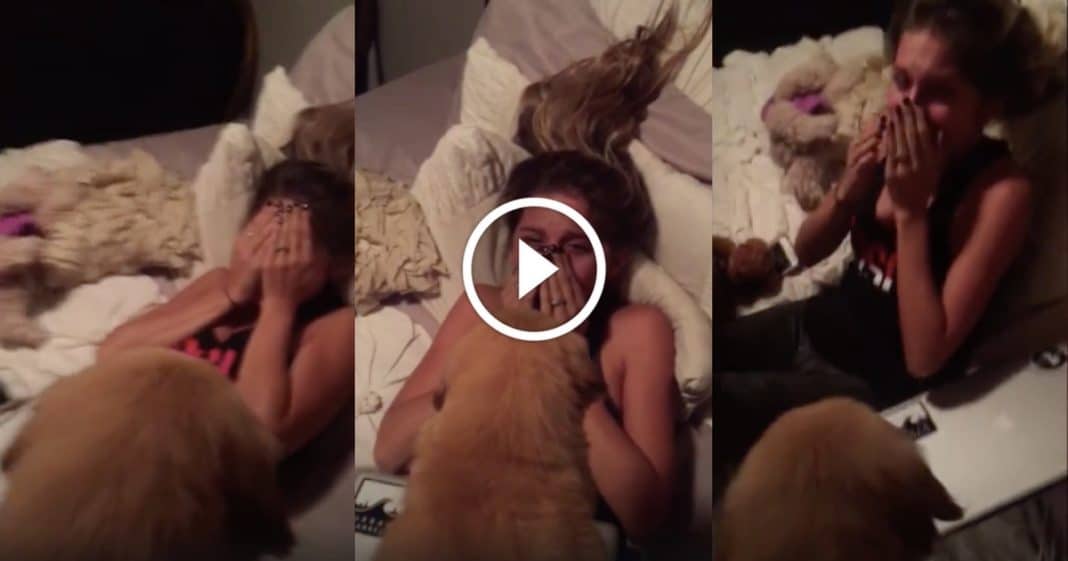 She’s Dreamed Of Having A Puppy Her Whole Life. Her Reaction When She Finally Gets One Is Priceless
