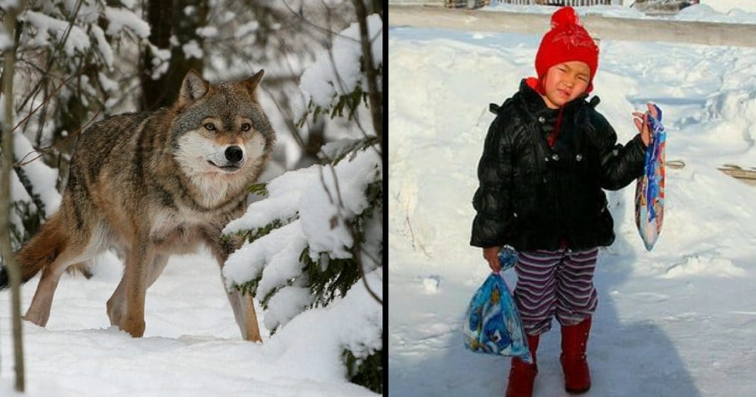 4-Yr-Old Siberian Girl Notices G’ma Isn’t Moving. What She Does Next…Holy Moly!!