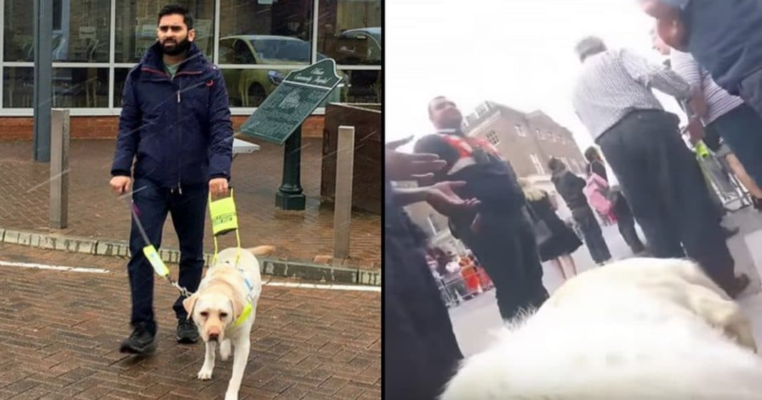 Blind Man Straps Camera To Guide Dog’s Back. When Wife Sees Video Later She’s Horrified