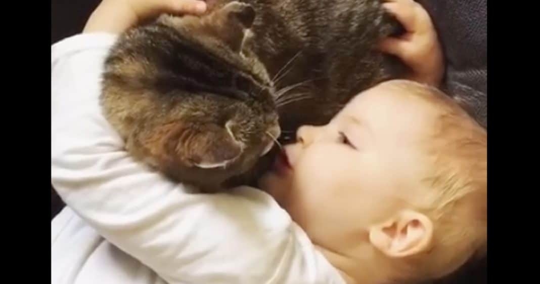 Toddler Sees Kitty Get Sick On Carpet, What She Does Next Will Melt Your Heart…