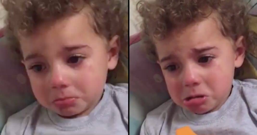 Mom Finds Toddler In Tears, But When She Asks Why She’s Crying She Can’t Believe Her Ears