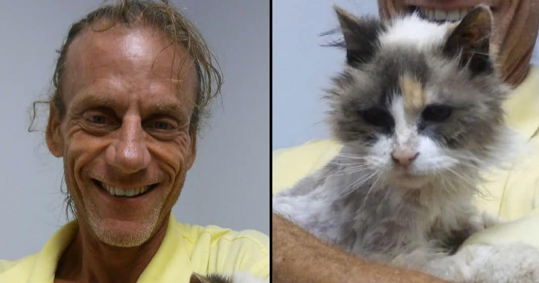 Blind, Deaf Cat Missing For Weeks. He’s Sure She’s Dead, But Then He Gets This Unexpected Call