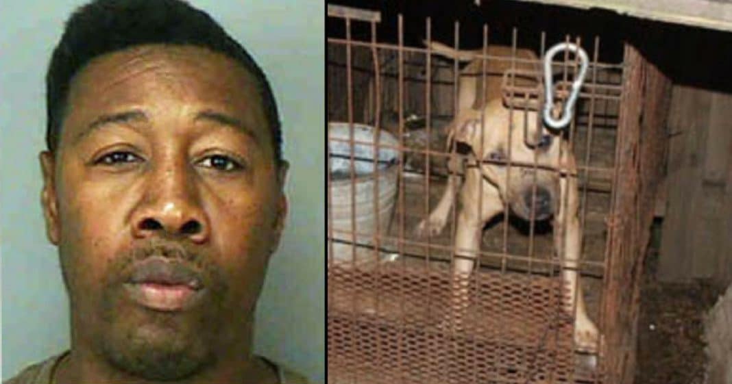 Scumbag Caught Abusing 69 Dogs In Fighting Ring Gets What He Deserves