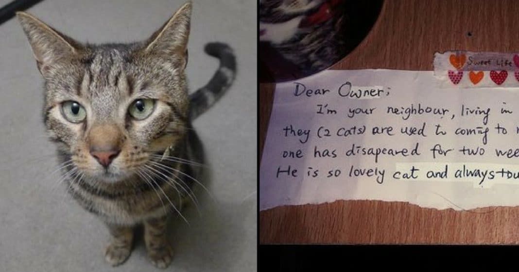Man Mourns Loss Of Beloved Cat, Then Finds Mystery Note That Leaves Him In Tears