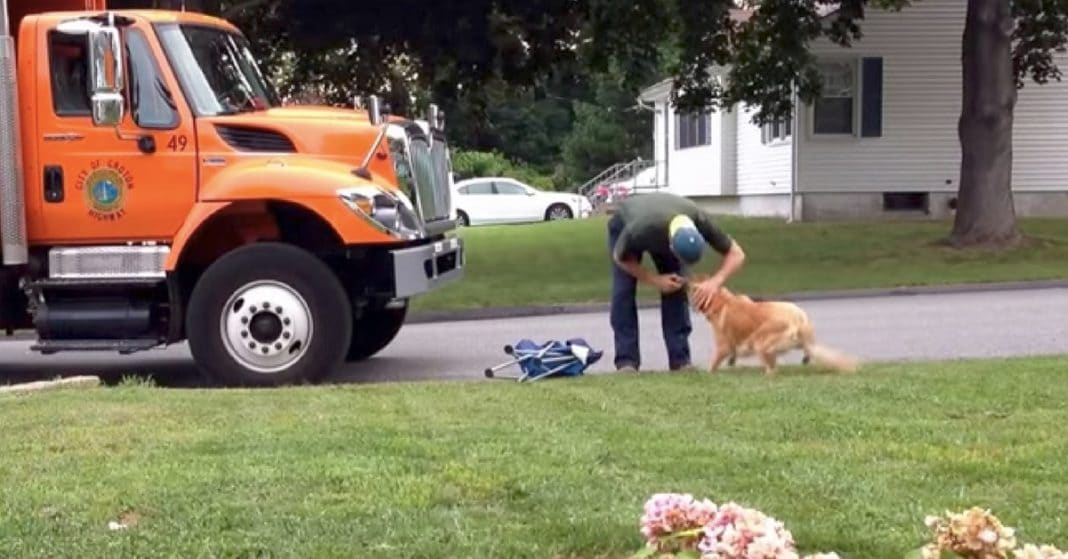 He Doesn’t Think Anyone’s Watching When He Approaches Dog. What He Does Next Is Going Viral