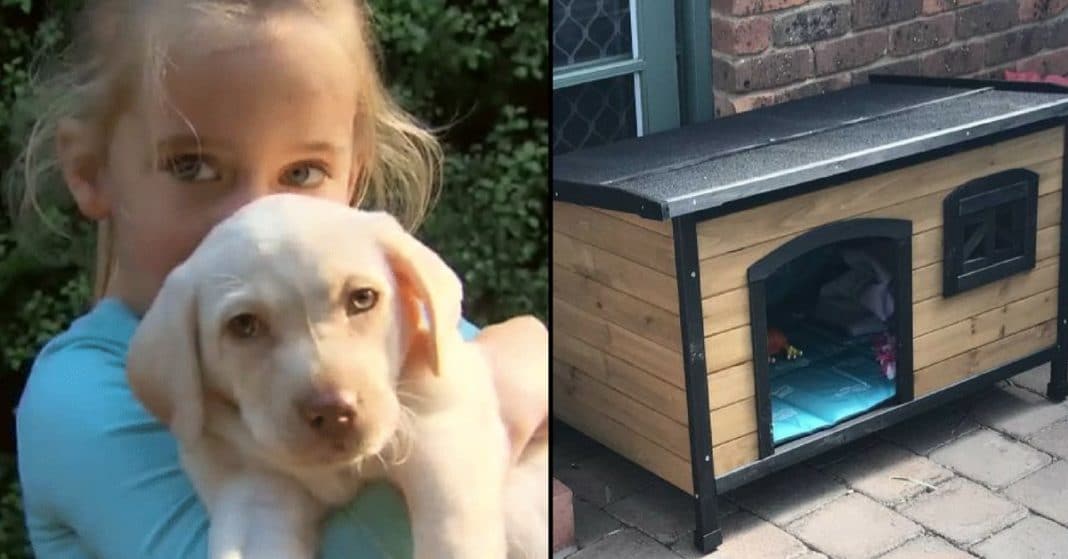 Thieves Steal 4-Yr-Old’s New Puppy. 3 Days Later Mom Seeing Something Moving By Kennel