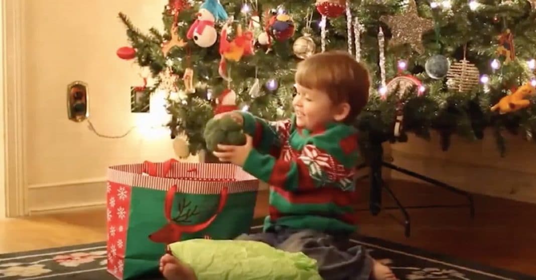 Toddler Gets Broccoli For Christmas, And His Reaction Will Melt Your Heart
