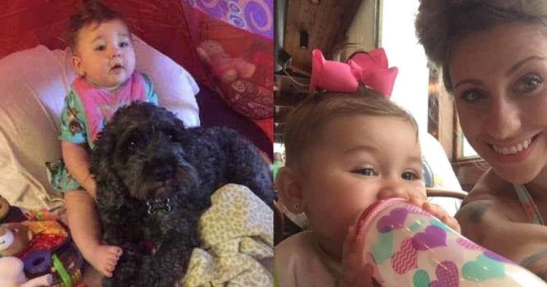 Mom thinks daughter is dead, then firefighters tell her dog died saving baby’s life