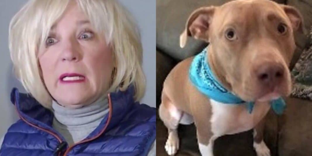 Pit Bull Won’t Stop Barking, Owner Looks In Basement And Immediately Knows Dog Saved Her Life