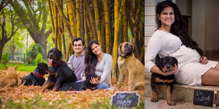 Doctor Tells Pregnant Woman To Give Up Dogs, Her Response Couldn’t Be More Perfect