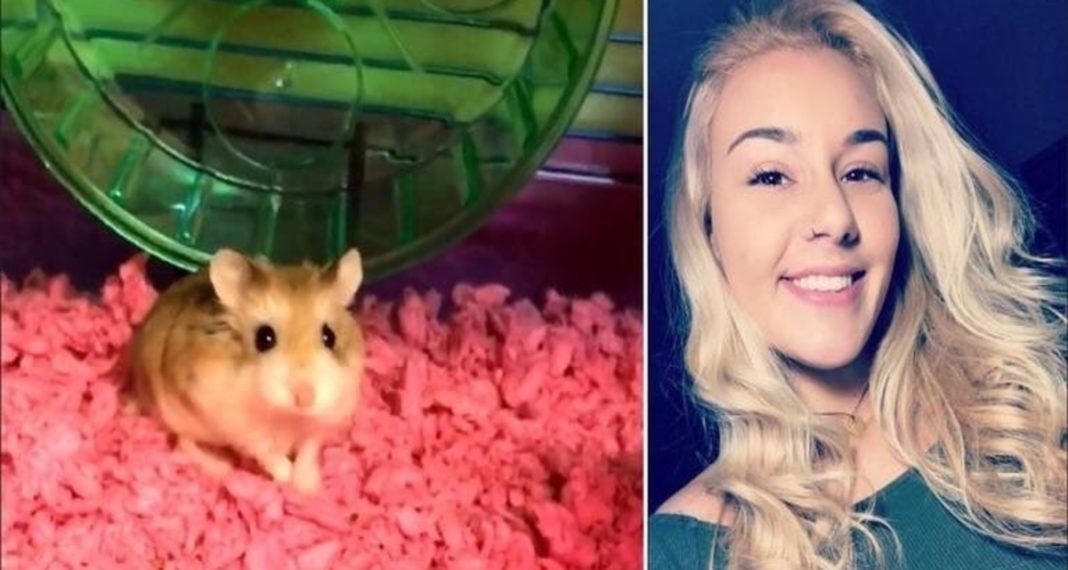 21-Year-Old Student Flushed Hamster Down Toilet After Airlines Told Her It Couldn’t Fly