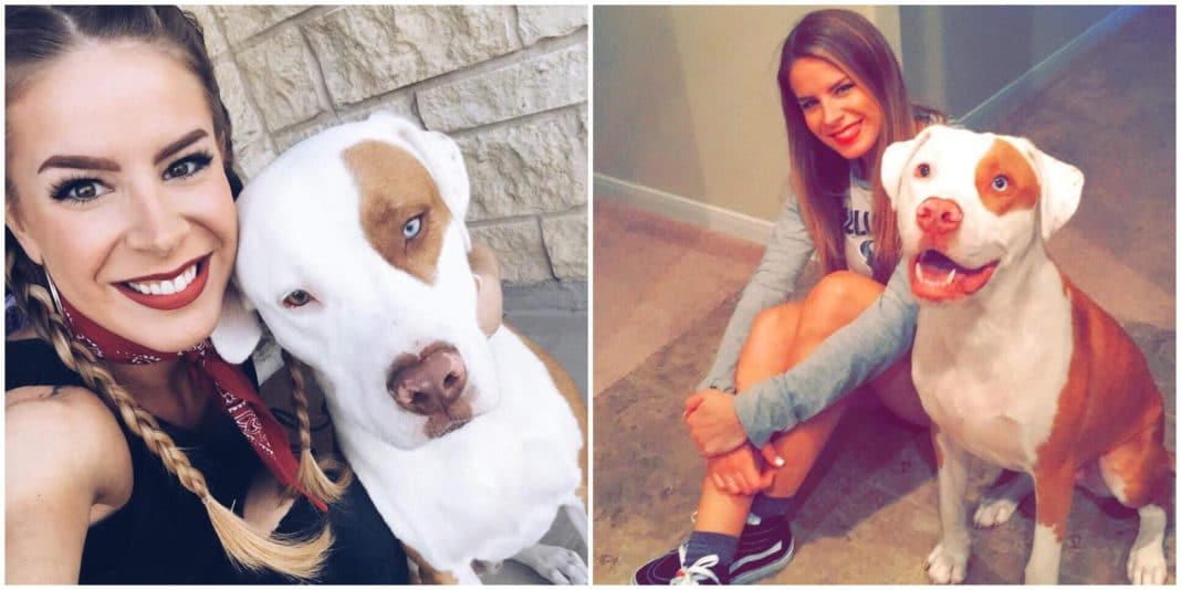 She Came Home To Find Beloved Dog Dead, Now She’s Warning Pet Owners About Dangers Of Common Item