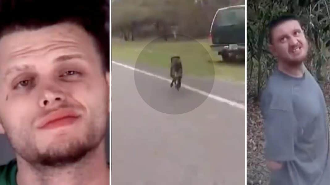 Suspected Car Thief Thought He Could Flee From Justice, Then Cop Lets K-9 Sidekick Out
