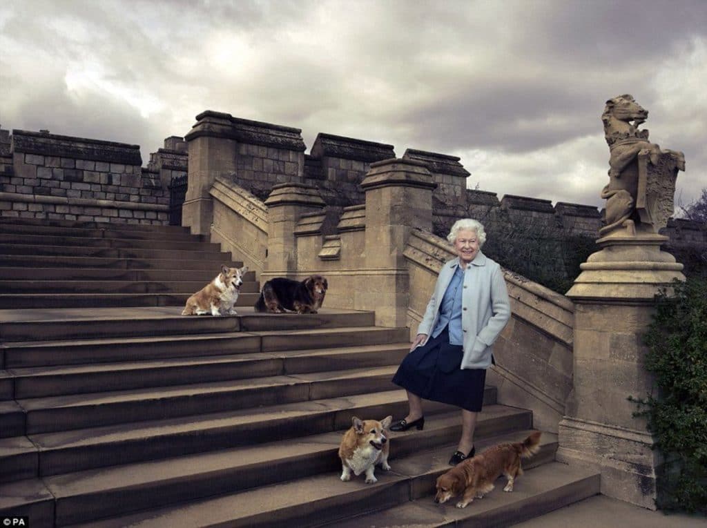 Queen Elizabeth with her dogs