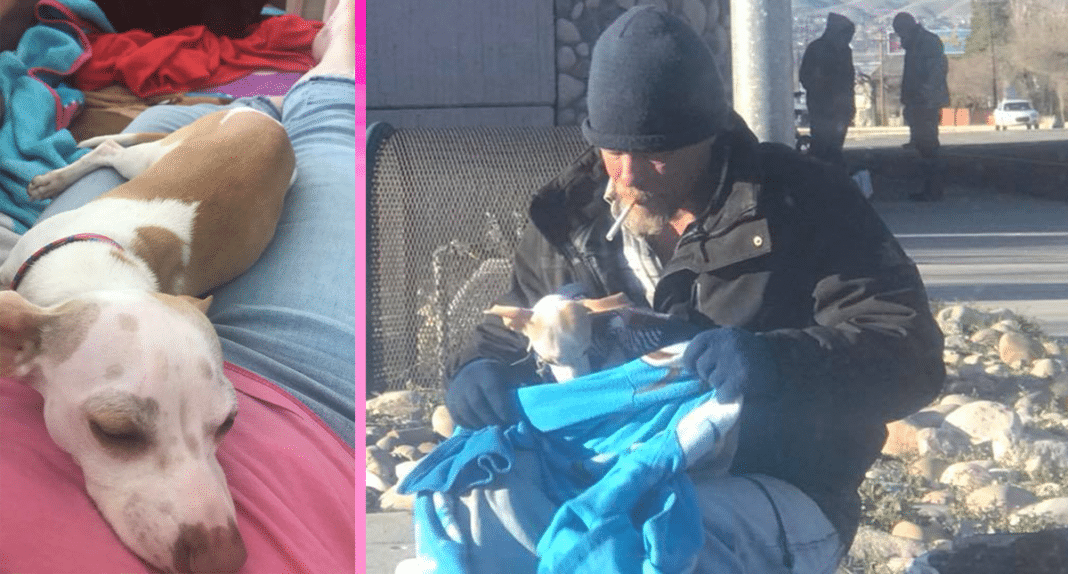 Homeless Man Saves Tiny Dog Dumped On Busy Road, Brought To Tears By Community Response