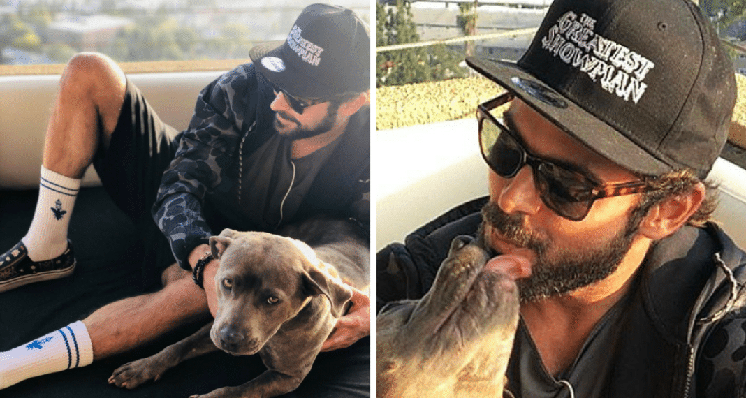 Abandoned Dog Scheduled To Be Euthanized – Then Famous Actor Takes Matters Into Own Hands