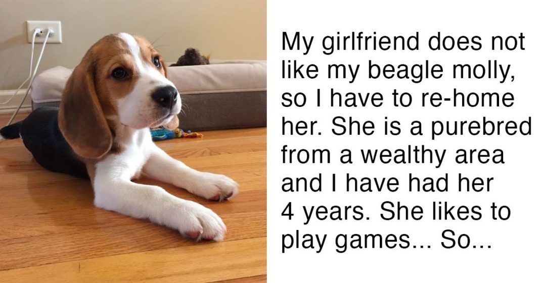 Boyfriend’s Response Has Internet Cheering After Girlfriend Tells Him “It’s Me Or The Dog”