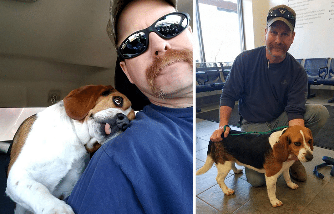 Man Captures The Exact Moment When A Beagle Realizes He’s Been Saved From Certain Death