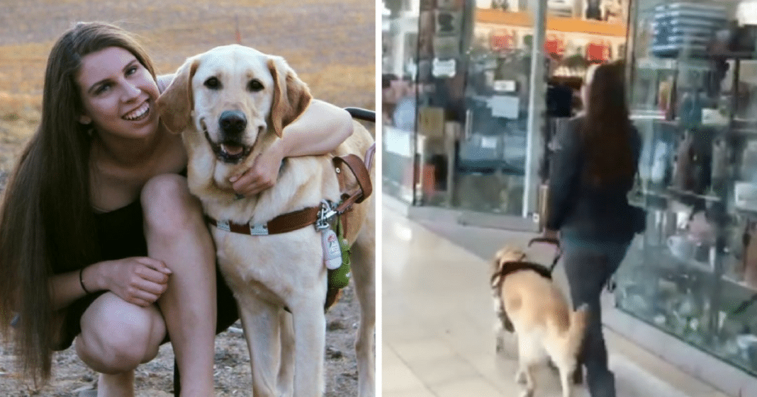 She Goes To Mall With Blind Sister, But Then She Notices Where Clever Guide Dog Is Taking Owner