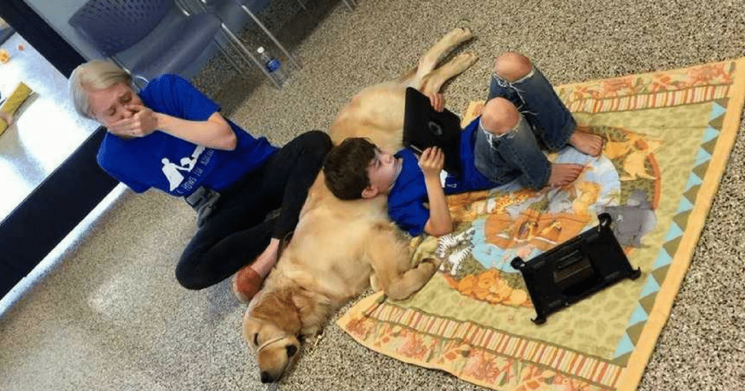 Mom Overcome With Emotion After Life-Changing Moment Autistic Age 5 Son Meets Service Dog