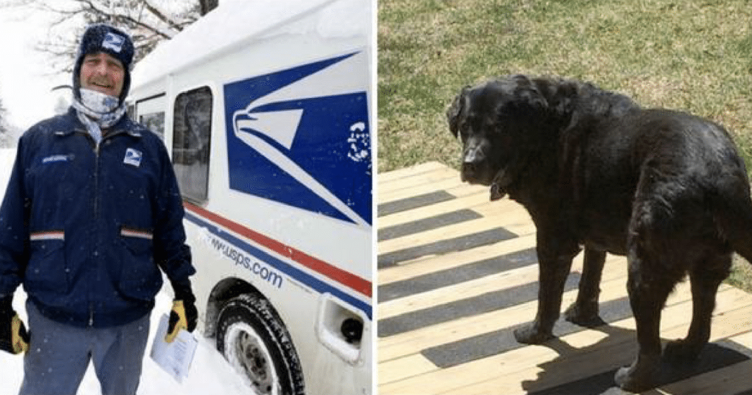 Mailman Notices Change In Elderly Dog That Greeted Him Daily For Years, Takes Matters Into Own Hands