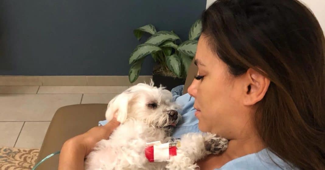 Pregnant Actress Says Goodbye To Beloved Dog Of 15 Years As Pup Dies In Her Arms