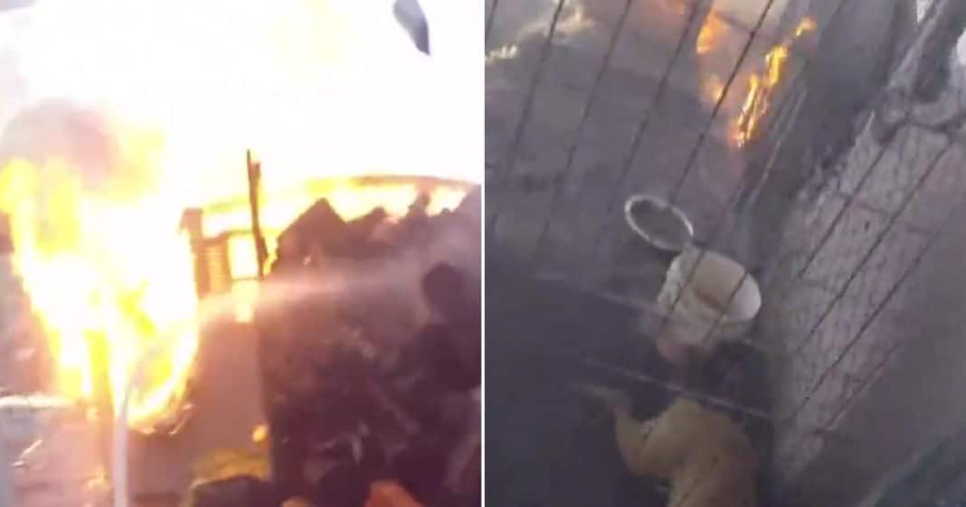 Dog Stuck Inside Cage As Fire Engulfs Home, Firefighter Races To Free Pup While Flames Inch Closer