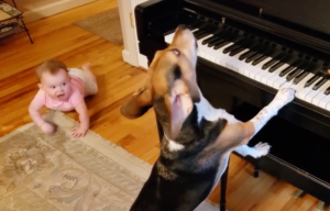 Baby chatters and heads over to the piano