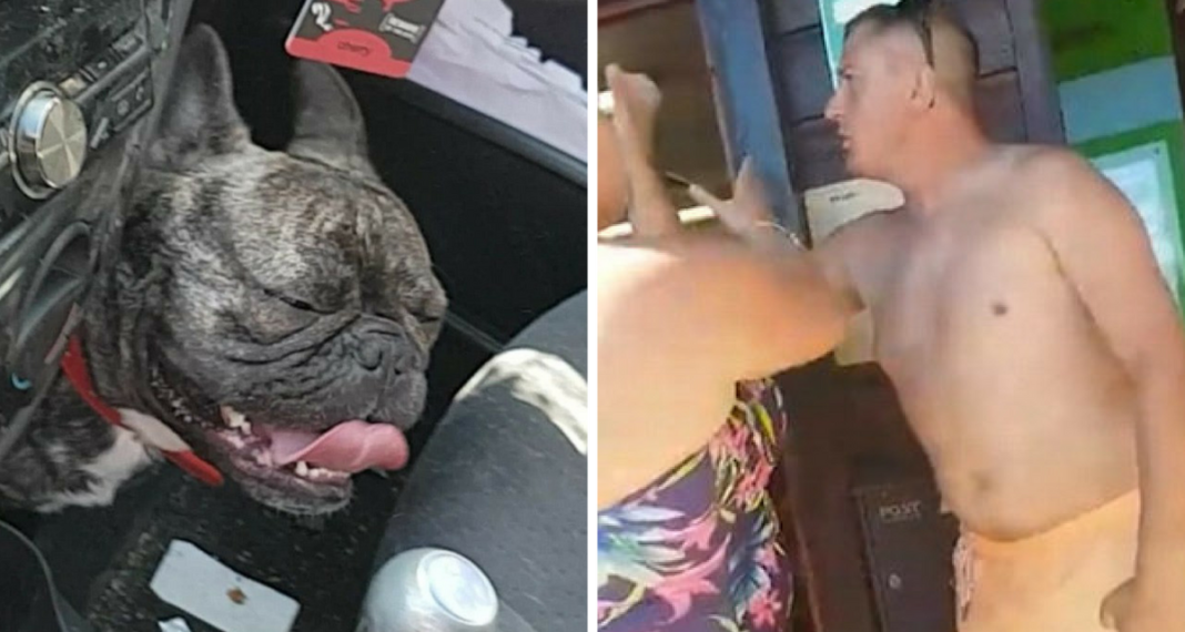 Beachgoers Smash Car Window To Free Dog Trapped In Hot Car For Hours, Owner Insists Pup Was ‘OK’