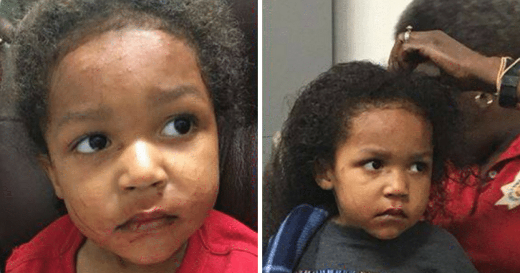 Stranded Age 3 Boy Finds Help To Save Baby Brother After Mom Died In Car Wreck 4 Days Before