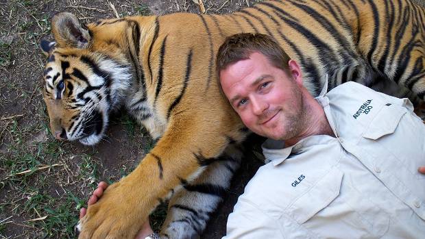 Giles Clark and one of the tigers in his care