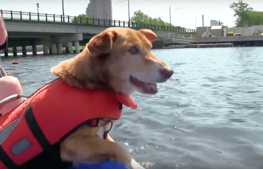Miss Willie goes for a ride on a kayak