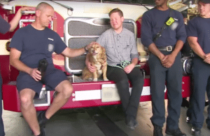 Miss Willie enjoys a day with the local firefighters at the station