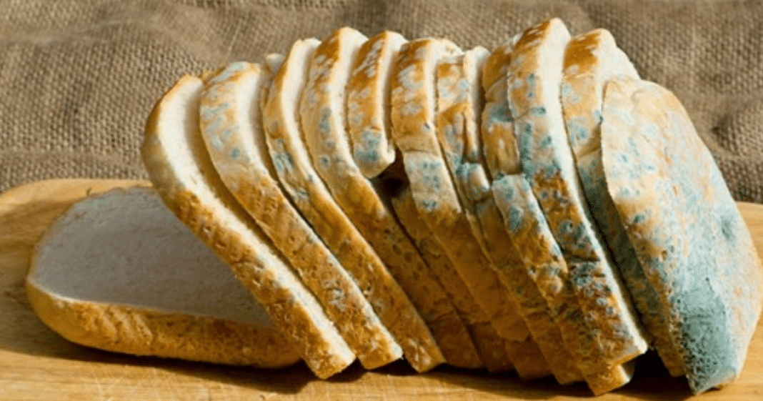 Here’s Why You Should Never Scrape Off Moldy Bread And Eat The ‘Clean’ Part