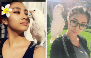 Yazhi Yung and Cookie the Goffin’s cockatoo