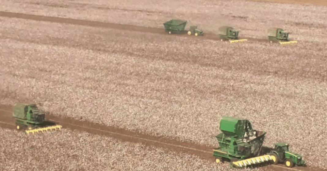What These Neighbors Did For This Cotton Farmer Battling Cancer Will Melt Your Heart