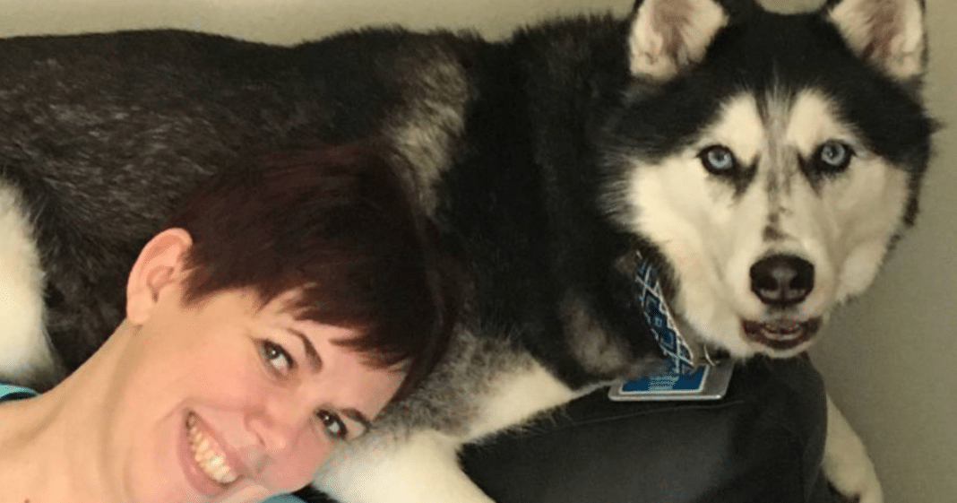 This Woman’s Beloved Dog Has Detected Her Cancer Three Different Times